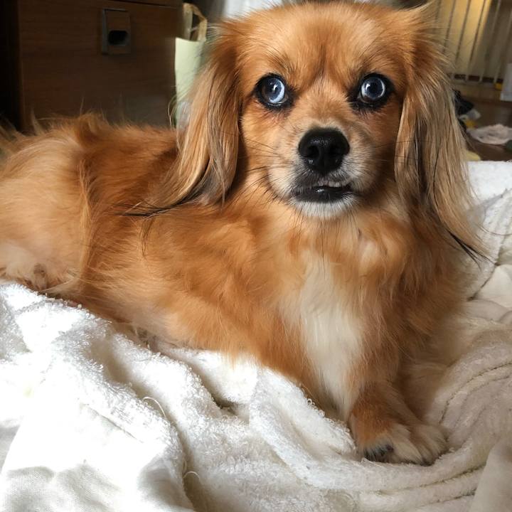 F51a5726 58d0 453c b9e8 c865de9e4214 1564175827699