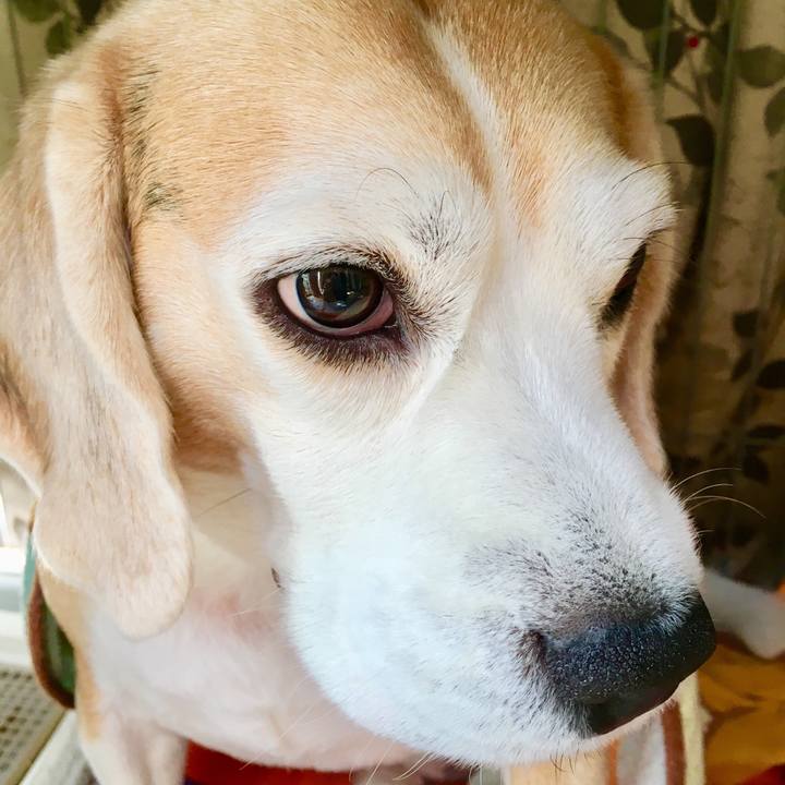 F51a5835 36bb 4b06 ad00 7c77926aa0db 1543385398089