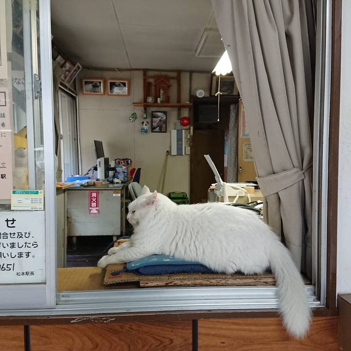 F51a7857 1453 48da 92b7 dd6db712d699 1568240728589