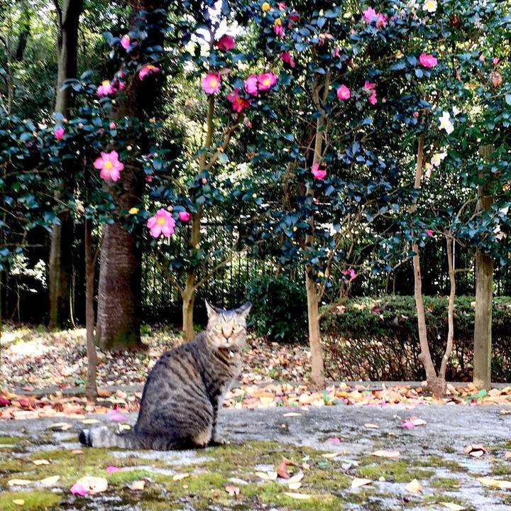 F51a7b07 d72f 47ba a5a5 e6f5bc8296c7 1510820210254