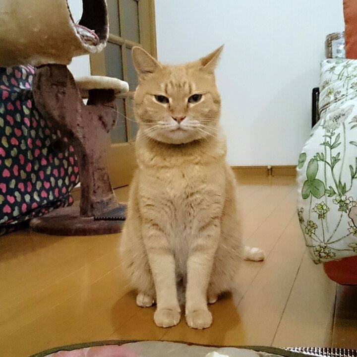 F51a9130 497e 4452 ac46 45f0af69872a 1540511275503