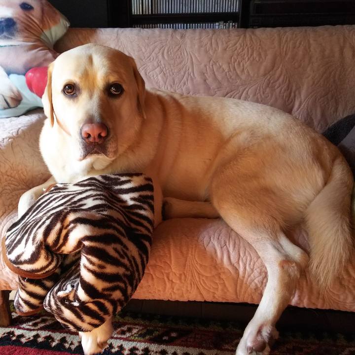 F51a9aed f080 49d4 b8d0 dce5f505fc97 1575168499583