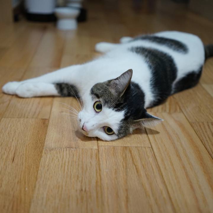 F51aad86 c19d 4d92 87d4 33d5175c5478 1539215069534