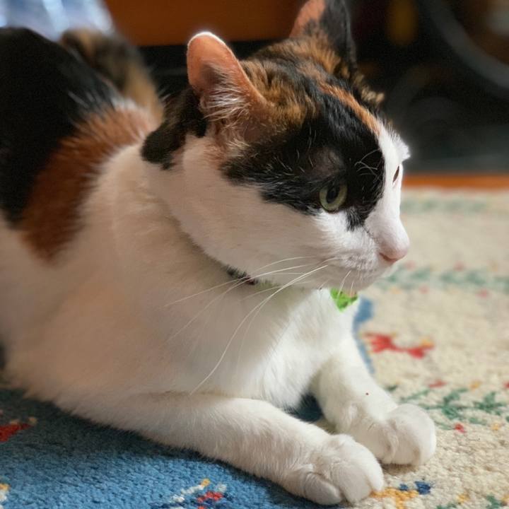 F51b09d2 c127 456e bcb8 ff4cb48fc488 1562140875420