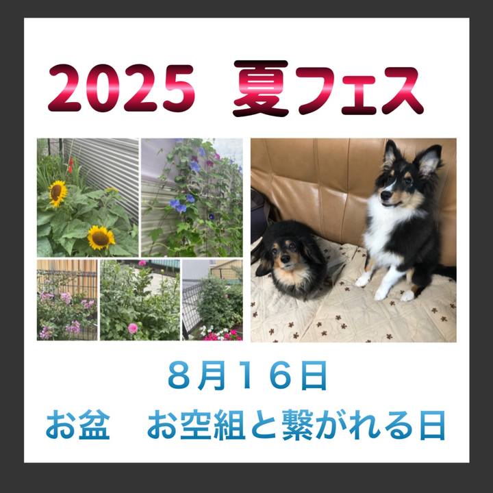 F51b1ae6 607f 4e6c 9374 c6a73f84496a 1754740885591