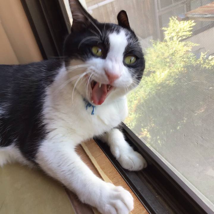 F51b5544 e9b4 499c b8f8 ea7d9e5d0551 1757321027363