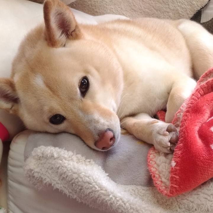 F51b86f3 098a 4099 9fdf adc7f019f9c4 1582936470468