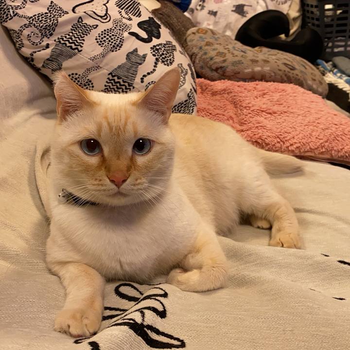 F51ba572 ca8c 411e 85a9 7089f8ee6869 1736432949281