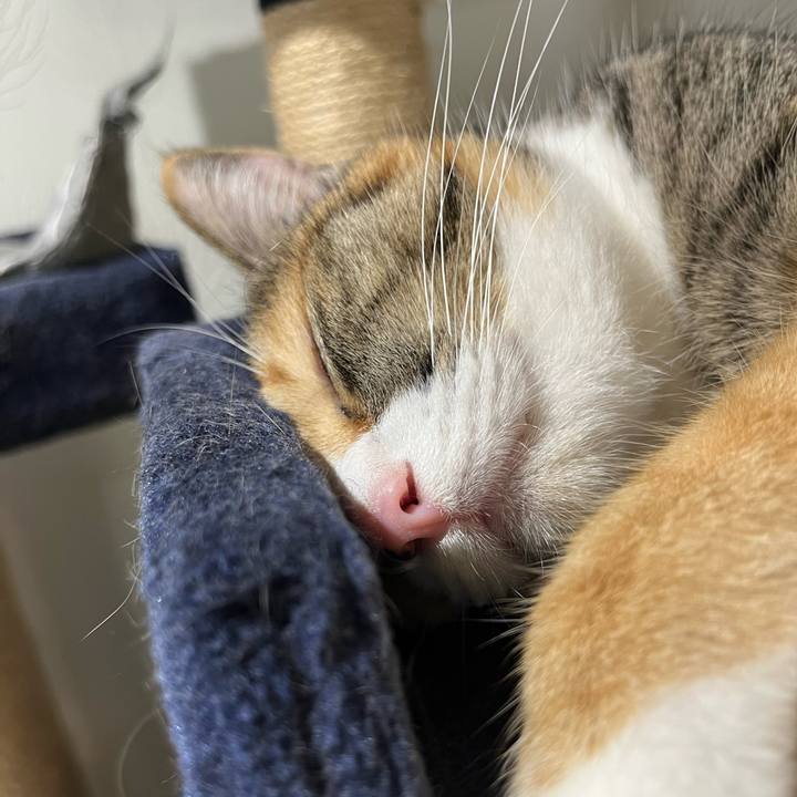 F51bb6eb b9a6 4f8c 931c ecdb7339e6cc 1663371509161