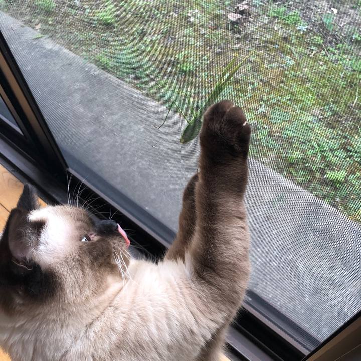 F51bb755 f6ff 4a2e 9bf3 25f2508c2ec5 1598310137911