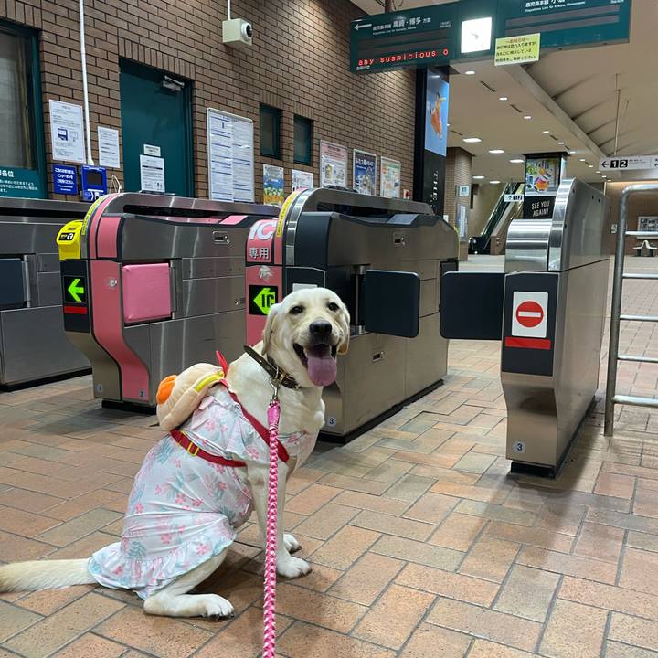 F51bc93c af8f 4549 8d64 318f79e10abf 1662762995449