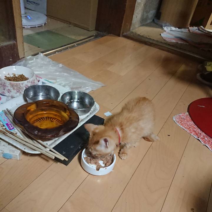 F51bfddf b737 4a7e 9d94 12c076e20dbb 1630148358443