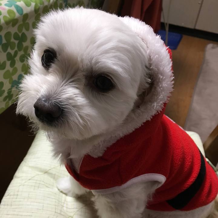 F51c0129 ceb3 469b adfb 32bad81e52f6 1514092391151