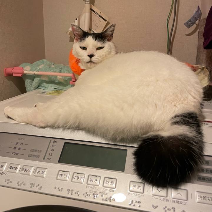 F51c16eb 6c0f 4c72 b323 7a729b1c7165 1715571646504