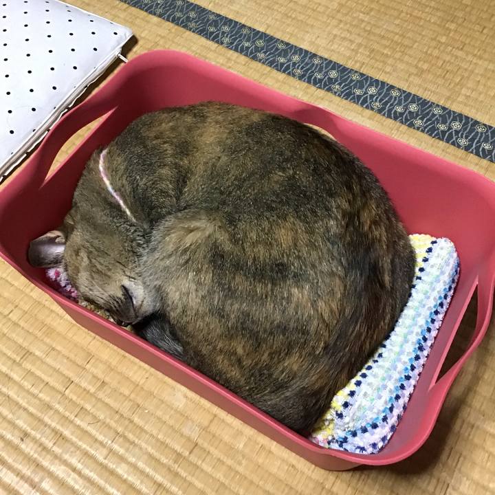 F51c294e f87c 4516 ad75 c8b0241f4cf1 1627637910930