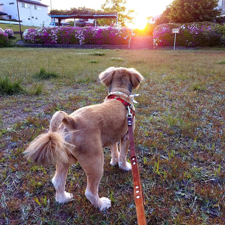 F51c308a a1bf 4885 ab53 0e2d2e2932e2 1618743776522