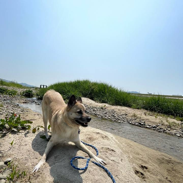 F51cafbc 419d 4e25 a428 ac981e49d6a3 1652010842208