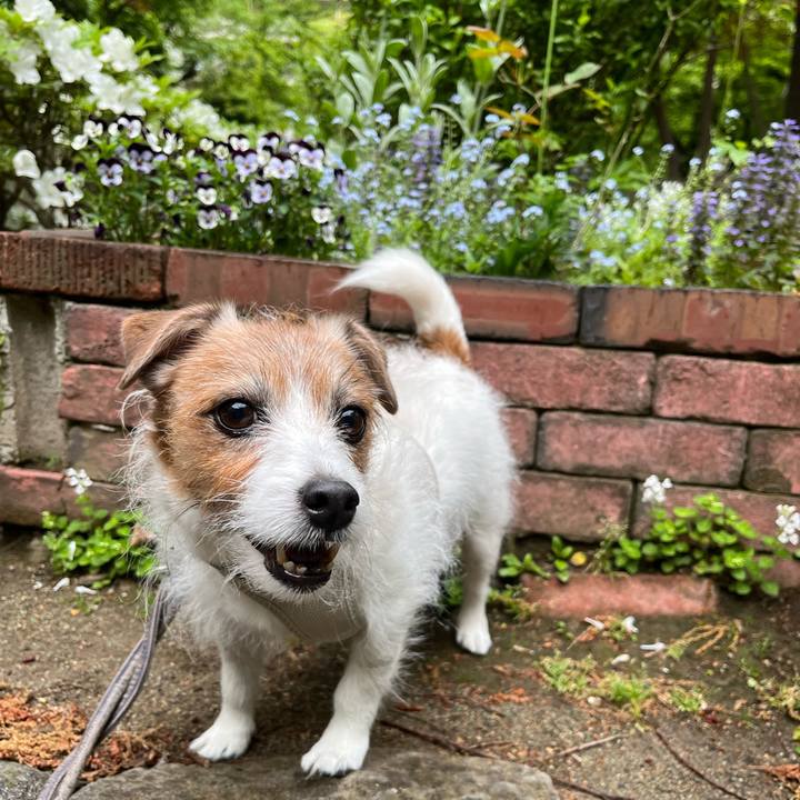 F51d05b7 a141 4814 aa59 f244df0059c0 1714237428195