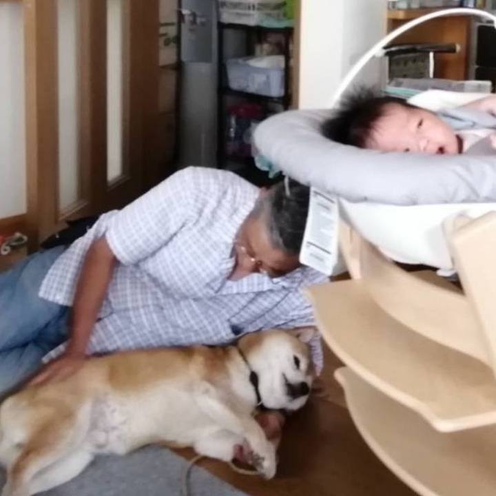 F51d0683 9254 4f71 9c89 2475e296a7cc 1593489534609