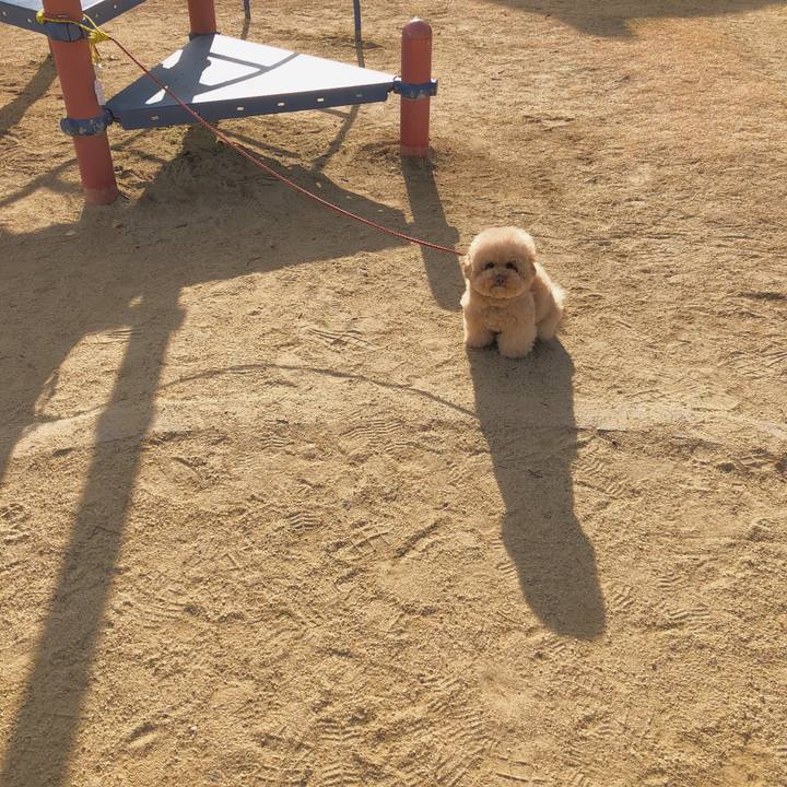 F51d3b04 488b 406a a3a7 b23fdfa812a5 1513302290201