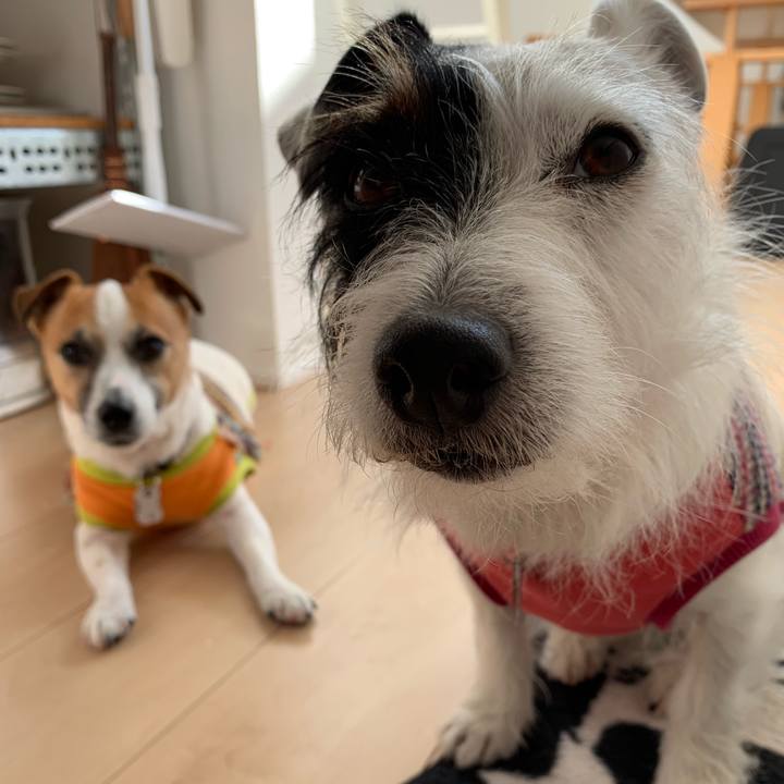 F51d4f56 9c0e 4ad9 a769 1e615b8bdefd 1548738493617