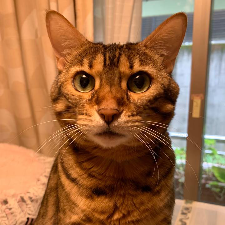 F51d724b 07b1 43f3 8b7c 52bdb99c5818 1599876567183