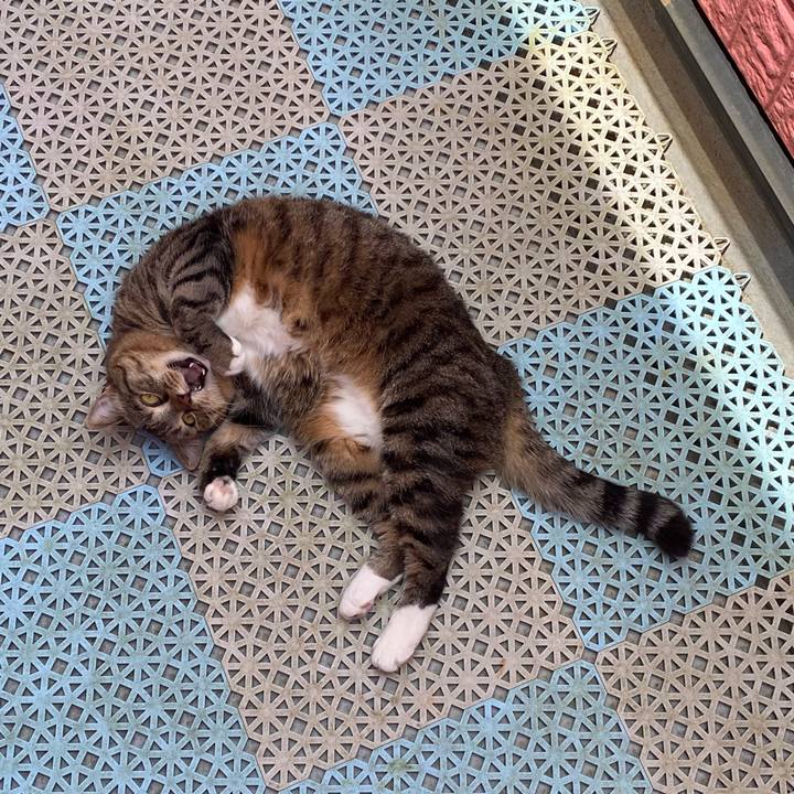 F51d950c c921 4222 8432 6d5fa1fa7f5c 1653567648694