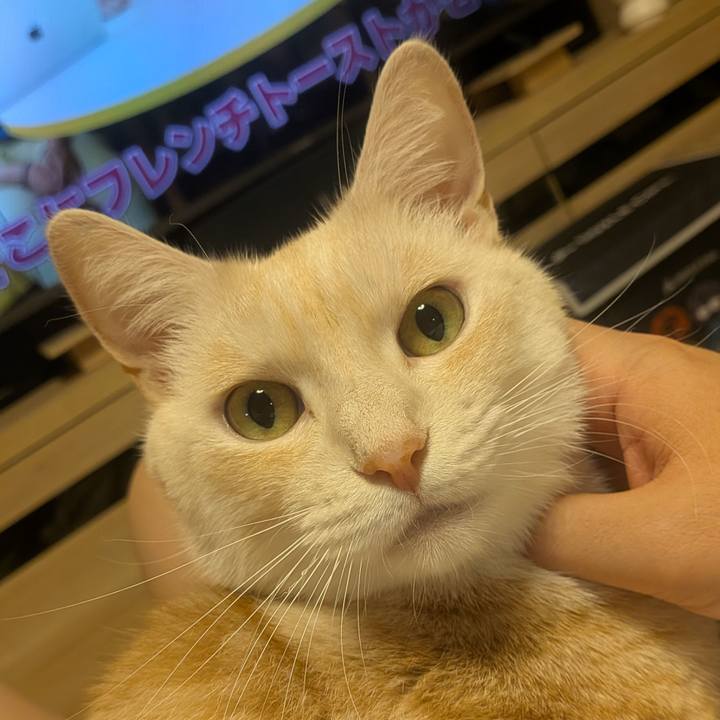 F51dac0a 2aad 4b23 bc0a 6913db99d92c 1756894267943