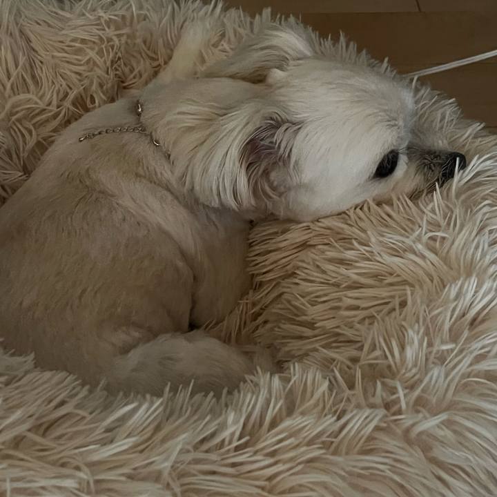 F51dc4e8 c805 45e7 8372 e77e44811f6e 1659161947078