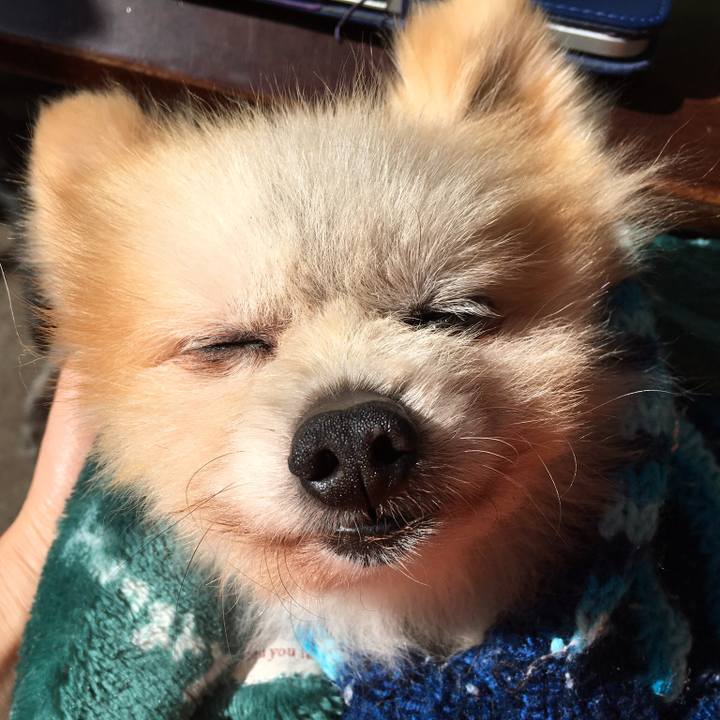 F51dfff3 4699 42a0 8d6e c9286e33995d 1518136900553