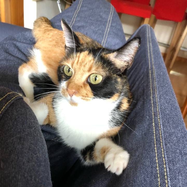 F51e0697 e217 49be 8ffc 23d67ecdd395 1537148926174