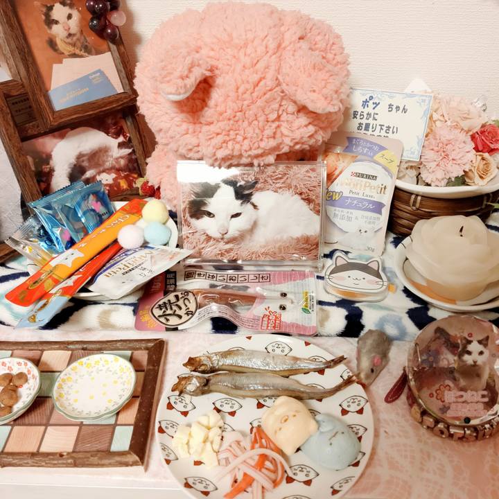 F51e1036 7db1 4aeb bca3 3ce66439f26c 1620641011059