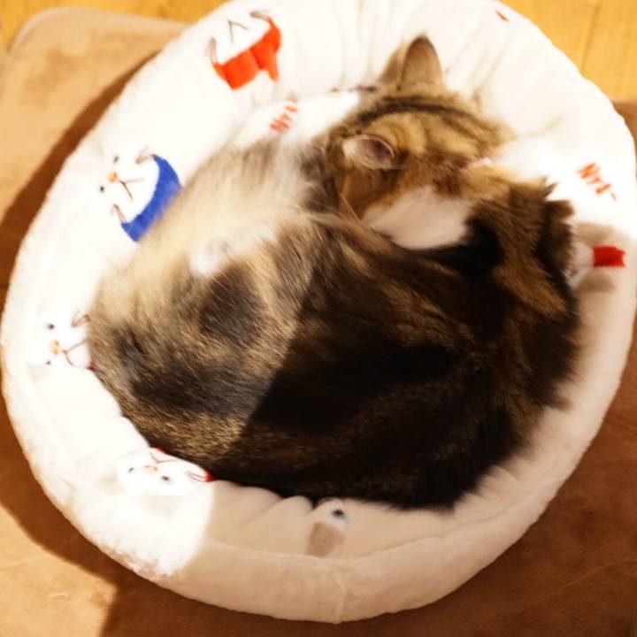 F51e5b63 b7f4 4a0c bc23 c6d153534491 1571397810200