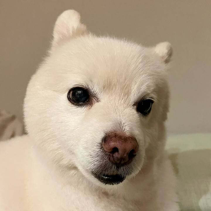 F51e6445 f581 4a2c ac6a 15210add0764 1760193323004