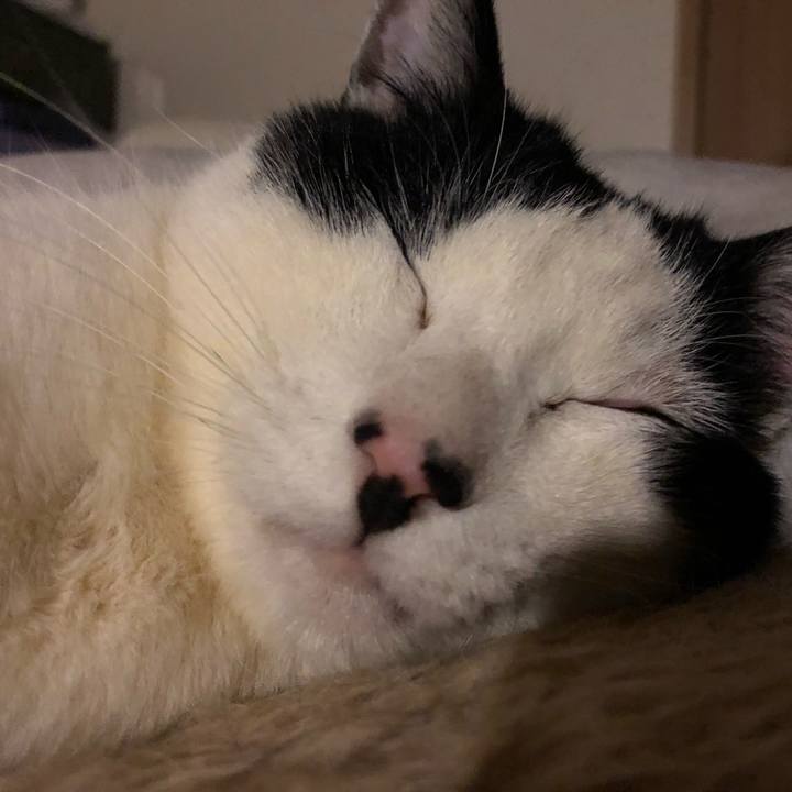 F51e9a59 ba92 4cf0 bcc6 7186eee77dab 1550347068362