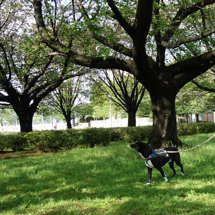 F51ebc81 b696 4a8c bf74 3a09ce9f3ce4 1650329576271