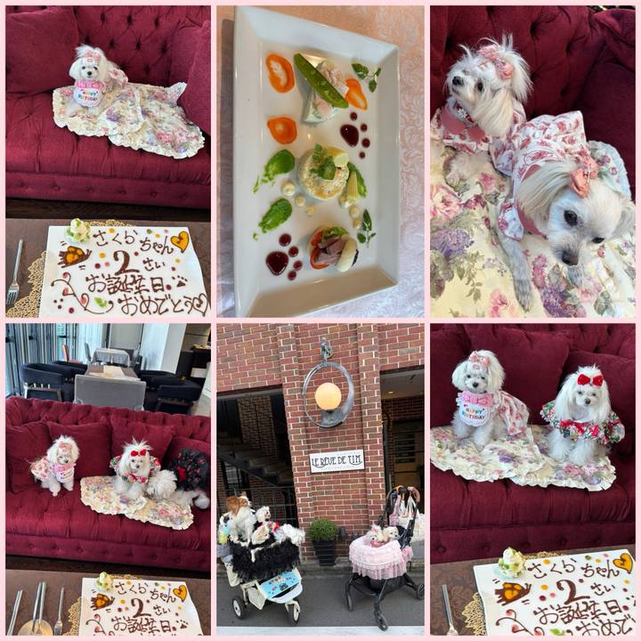 F51ee683 4f8d 474f 9468 639a1315959a 1759055109179