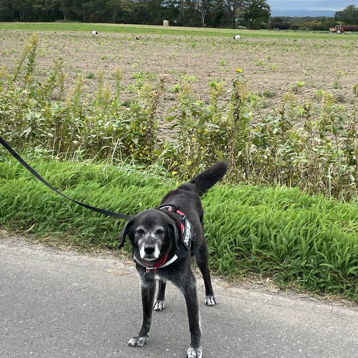 F51f114a 57de 4402 b668 06ab7d362f1d 1759812233741