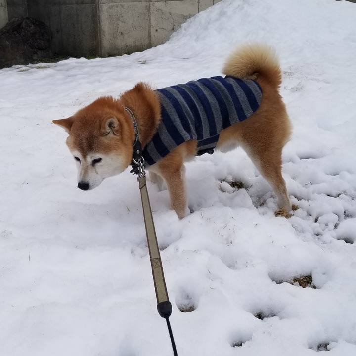 F51f15bd caf5 4e4b b2e1 a8940e4ec0c9 1704255478578