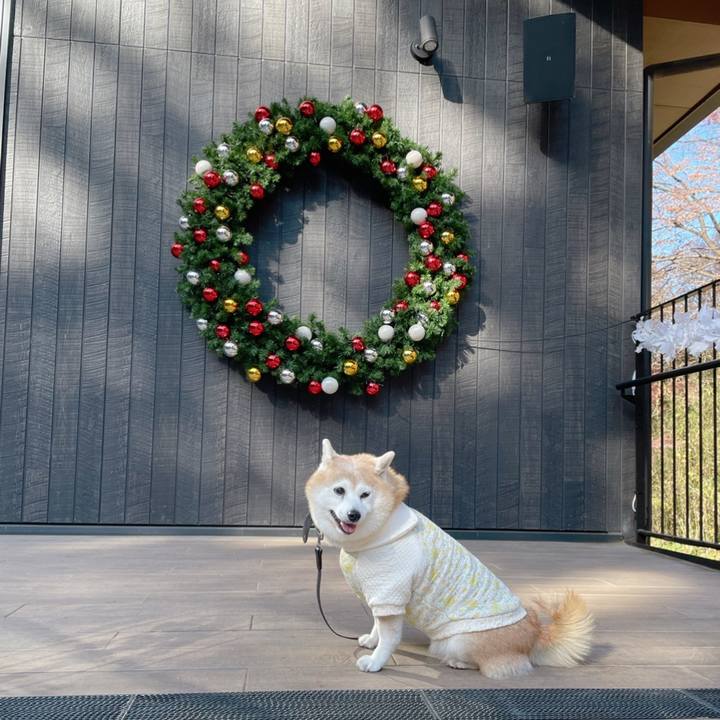 F51f3463 fd44 452d 8578 187a7bba331f 1640310631572