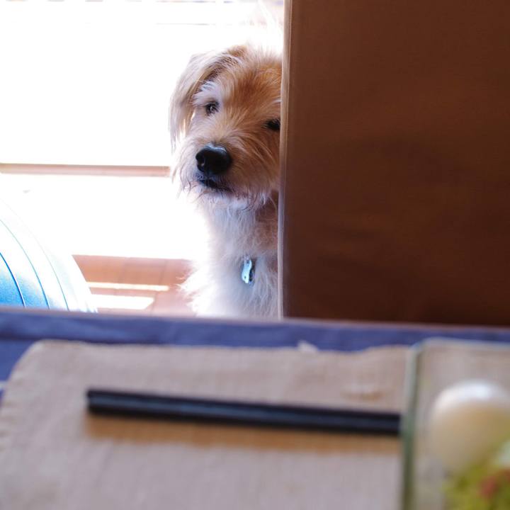 F51f769c 7bad 422e 88b3 681db2bd5780 1547606513583