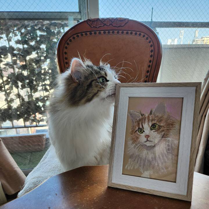 F51fce3f 475a 4959 9462 38825a8bd8fe 1718058182446