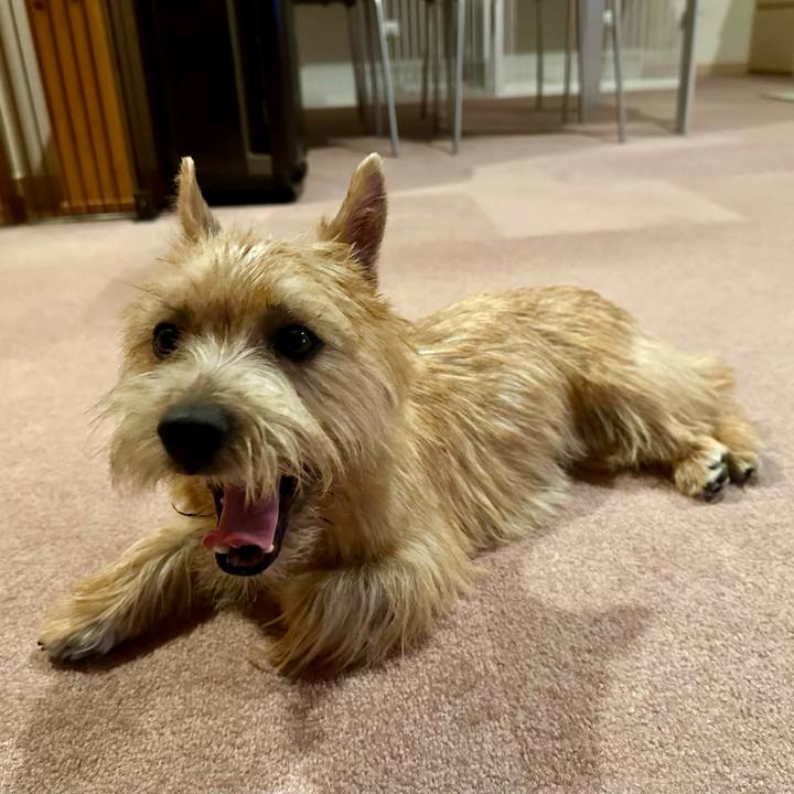 F51ff32c d9e9 4ec7 9650 cb0d7baeb966 1719318337661