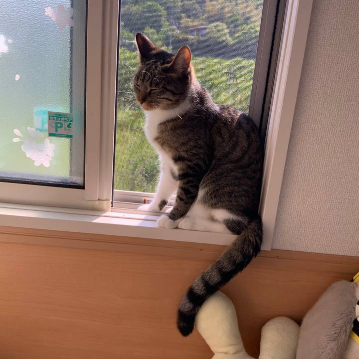 F52006f7 33b7 4e89 abf8 937a1e001a9f 1684278832640