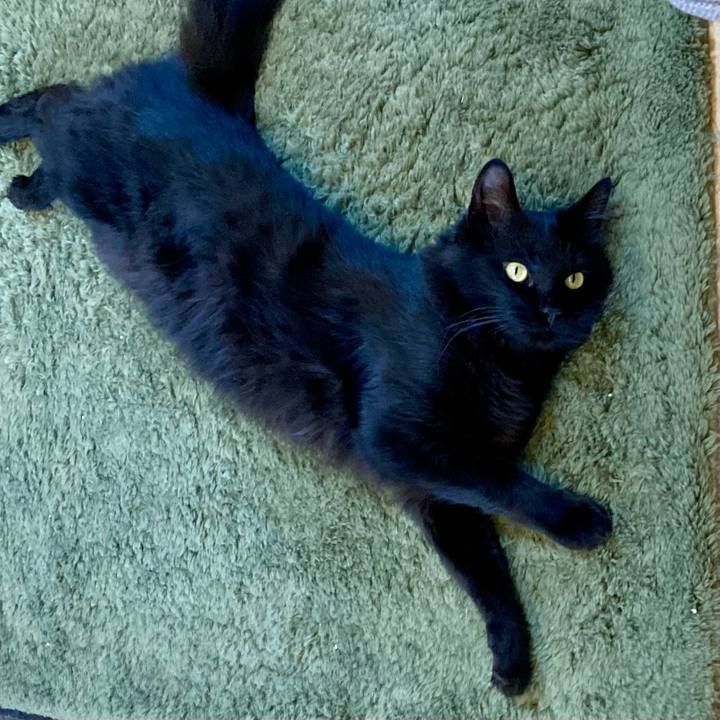 F5202355 b50f 4f1d 910e 5e05b21f635f 1747980877803