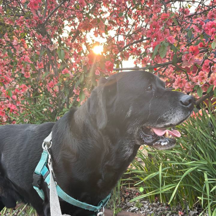 F5203f41 9b40 4340 b347 f6b500c894e1 1774698456529