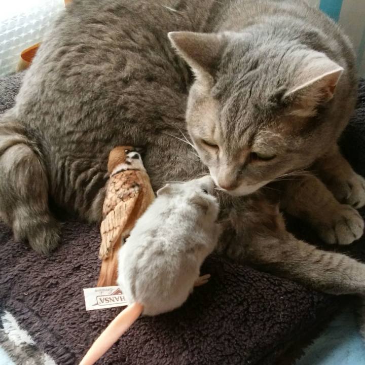 F52042f1 59b7 41b5 a421 5188f69b1919 1595737473740