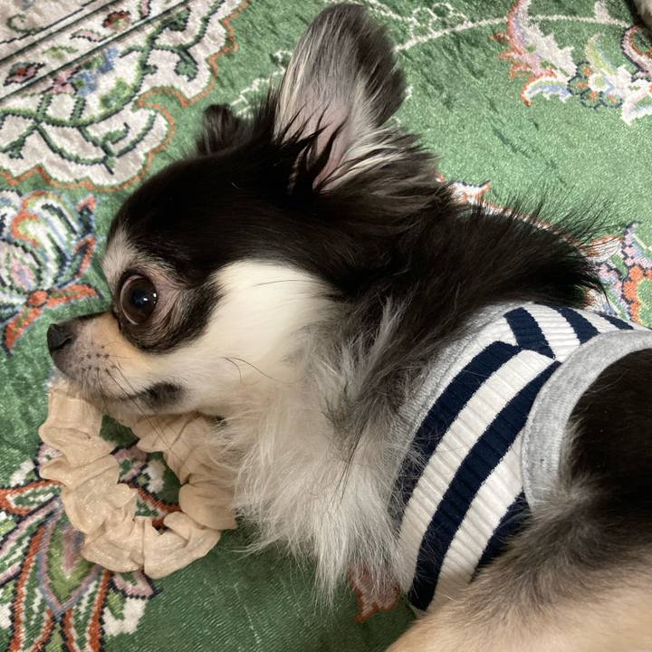 F52056db 8899 473a bdfc b195482da33f 1653745702951