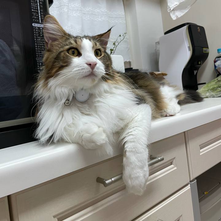 F5206de2 79cd 413e 90e5 055bc75702b3 1648547198431