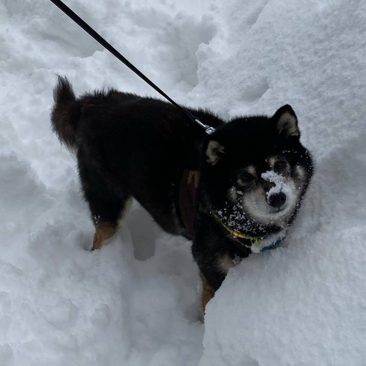 F5207f1f 529b 49d0 ade1 65c48135ff2c 1676073380307